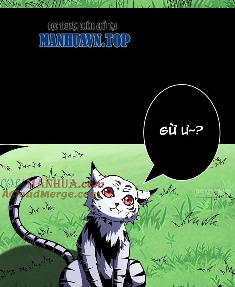 Vừa Chơi Đã Có Tài Khoản Vương Giả Chapter  388 - 23