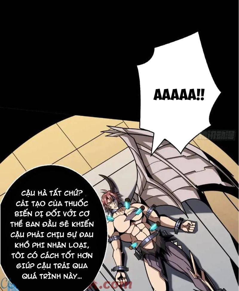 Vừa Chơi Đã Có Tài Khoản Vương Giả Chapter  393 - 6