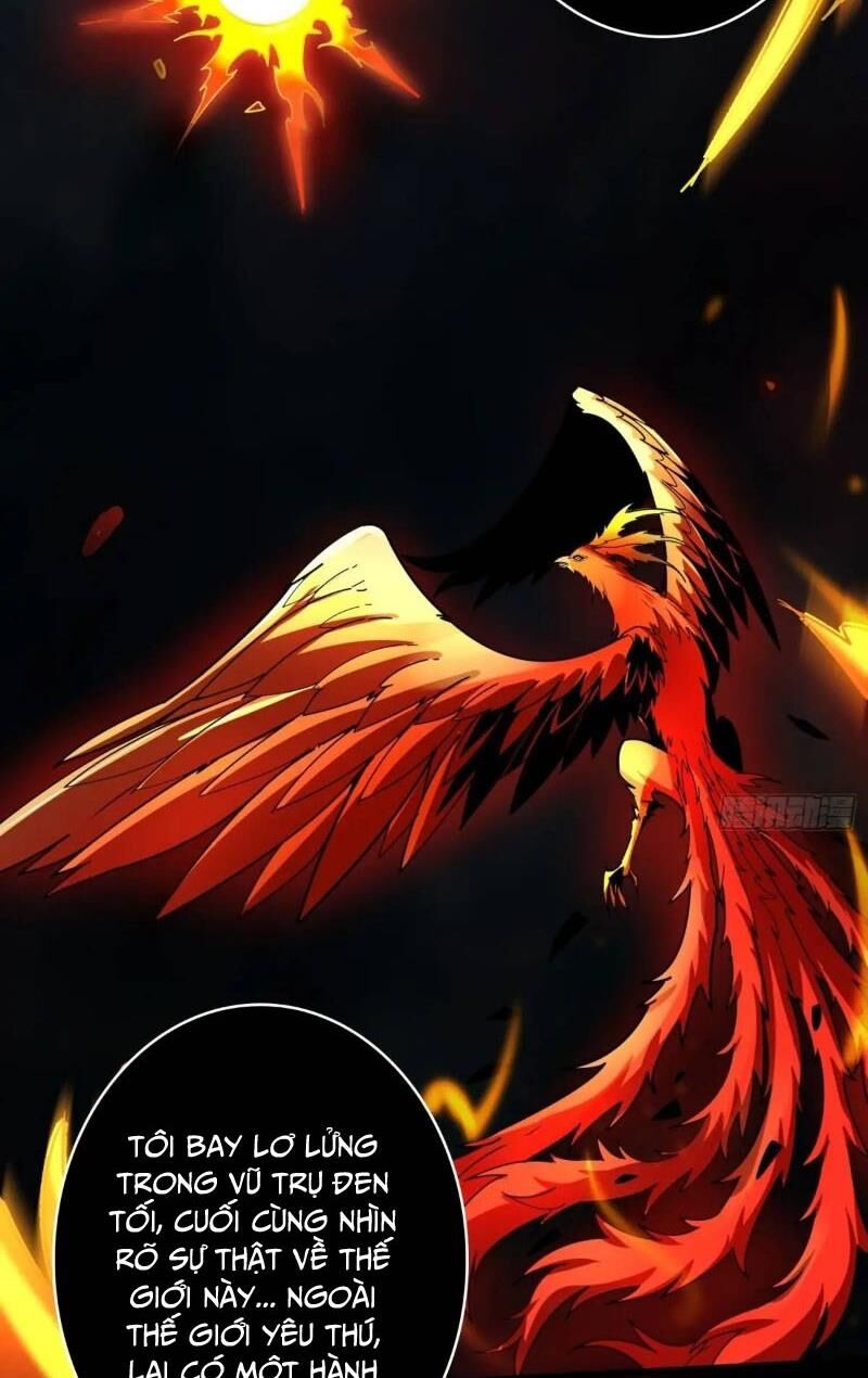 Vừa Chơi Đã Có Tài Khoản Vương Giả Chapter  396 - 55