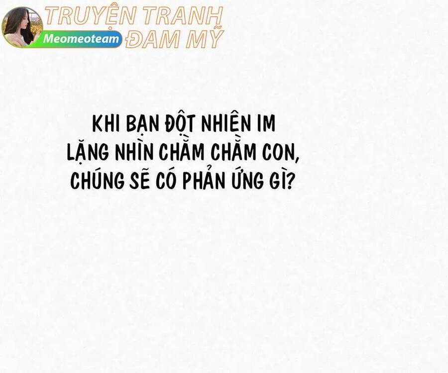 Nghịch Tập Chi Hảo Dựng Nhân Sinh Chapter 301 - 1