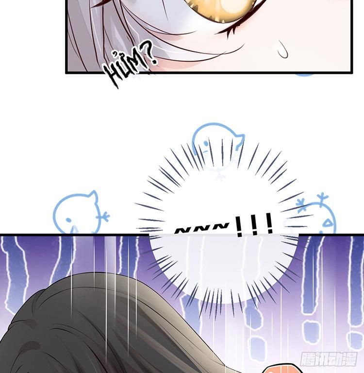 Thái Hậu Quân Hạ Thần Chapter 66.1 - 16