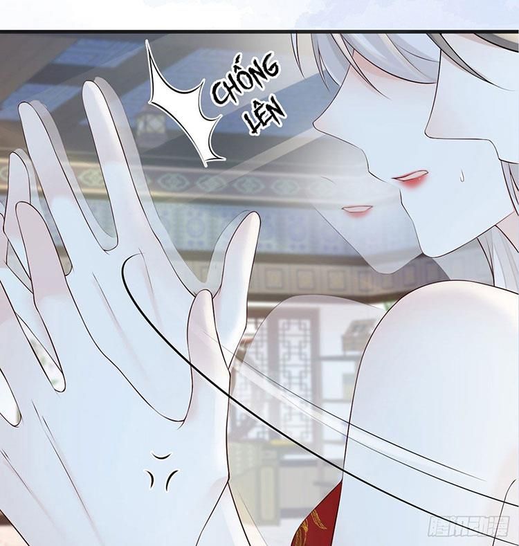 Thái Hậu Quân Hạ Thần Chapter 66.2 - 13