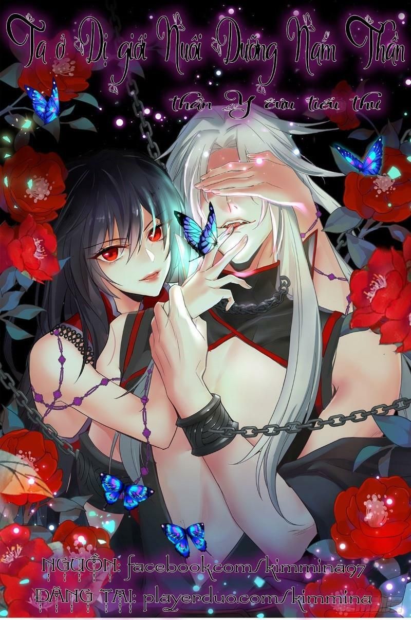 Ta Ở Dị Giới Nuôi Dưỡng Nam Thần: Thần Y Cửu Tiểu Thư Chapter 0 - 2