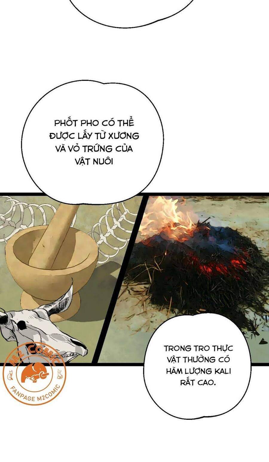 Đế Quốc Lê Man Chapter 25 - 10
