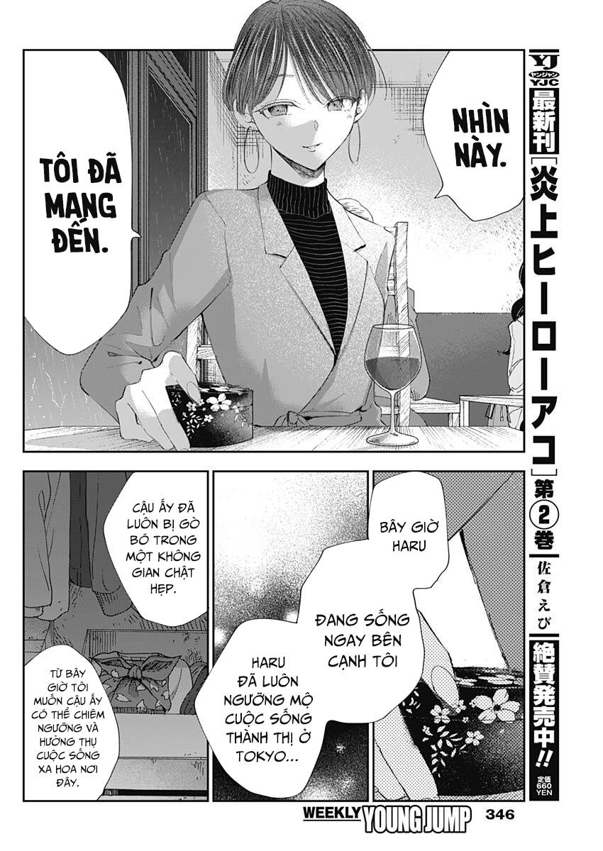 Seinen Shoyo Yo, Haru Wo Musabore Chapter 25 - 15