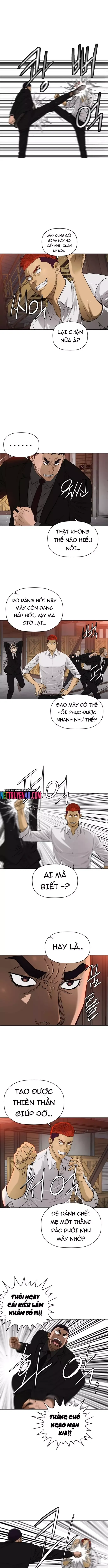 Cuộc Đời Thứ Hai Của Một Gangster Chapter 136 - 3