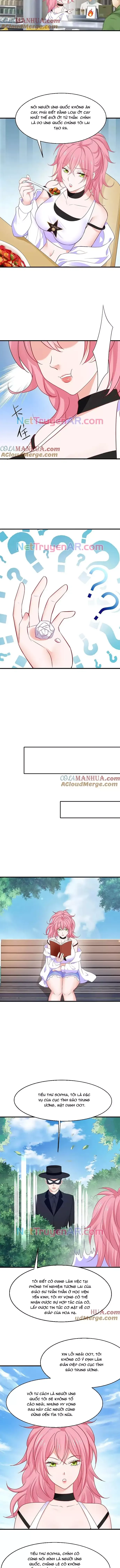 Vô Địch Học Bạ Hệ Thống Chapter 266 - 3