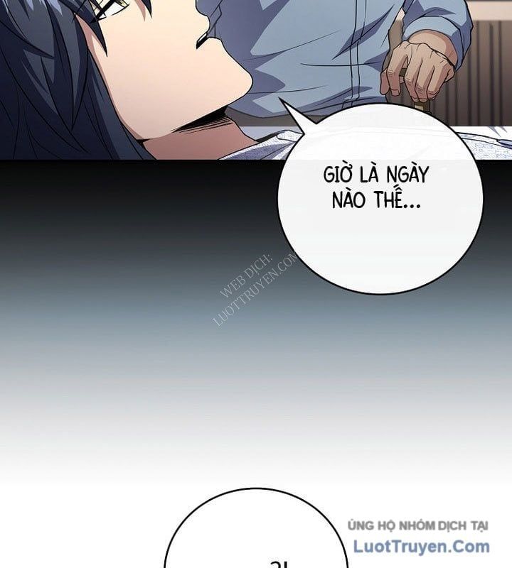 Sự Trở Lại Của Người Chơi Bị Đóng Băng Chapter 187 - 61