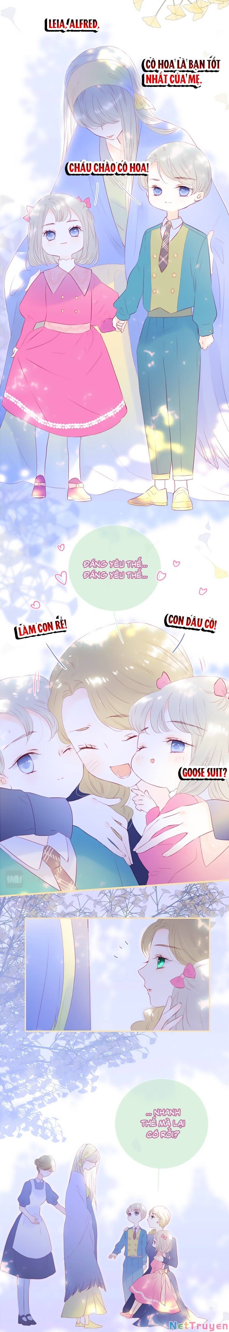 Hoa Bỏ Chạy Với Nhím Rồi Chapter 81.5 - 5