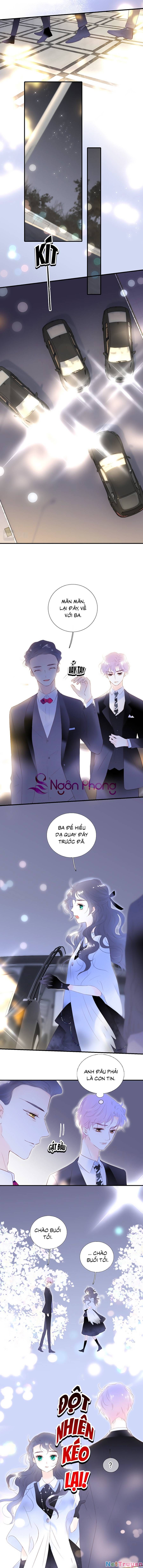 Hoa Bỏ Chạy Với Nhím Rồi Chapter 83 - 6