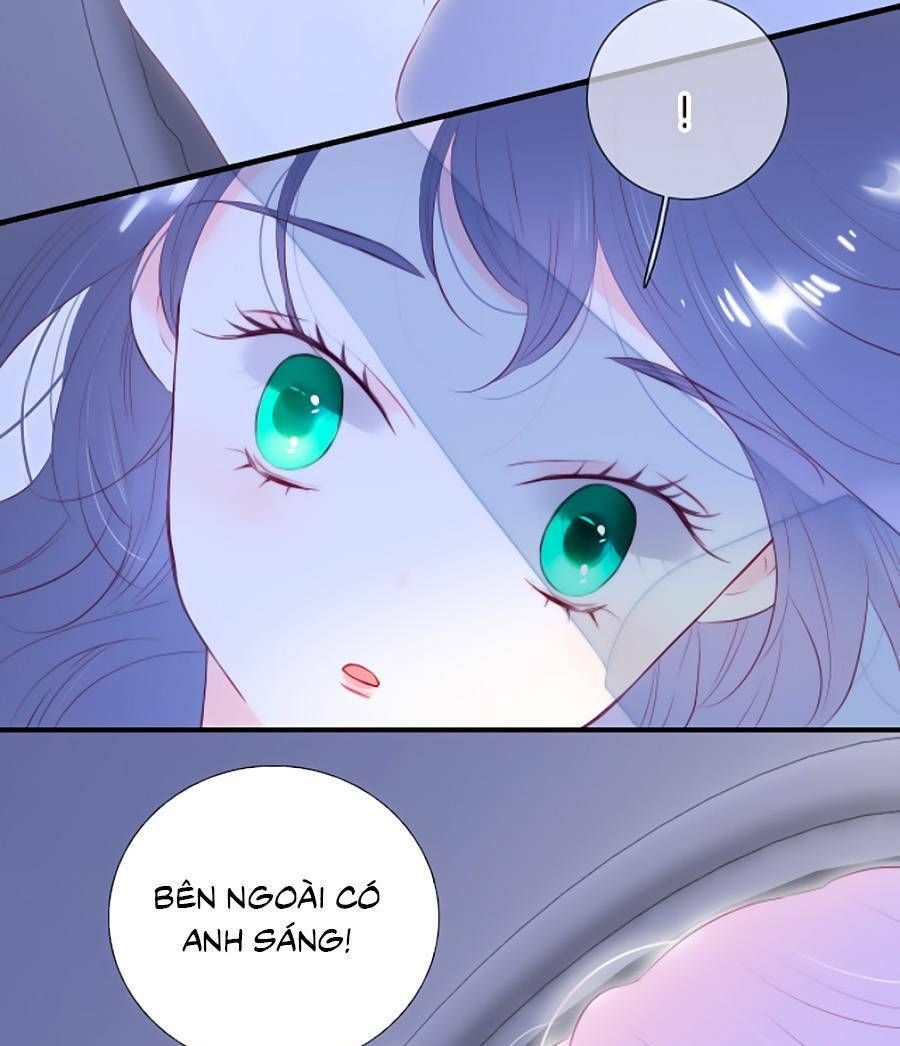 Hoa Bỏ Chạy Với Nhím Rồi Chapter 85 - 43