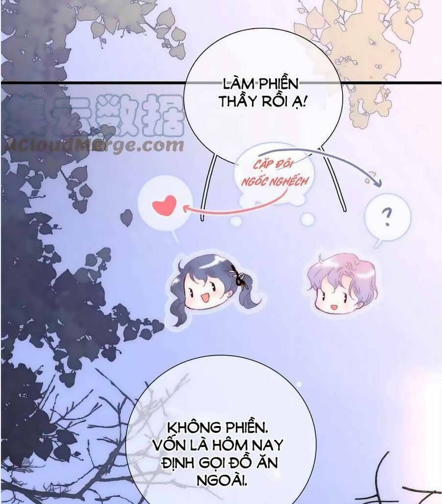 Hoa Bỏ Chạy Với Nhím Rồi Chapter 89 - 37