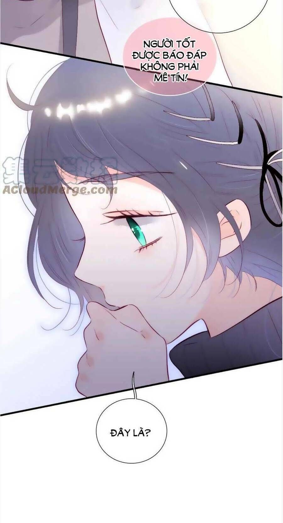 Hoa Bỏ Chạy Với Nhím Rồi Chapter 89 - 10