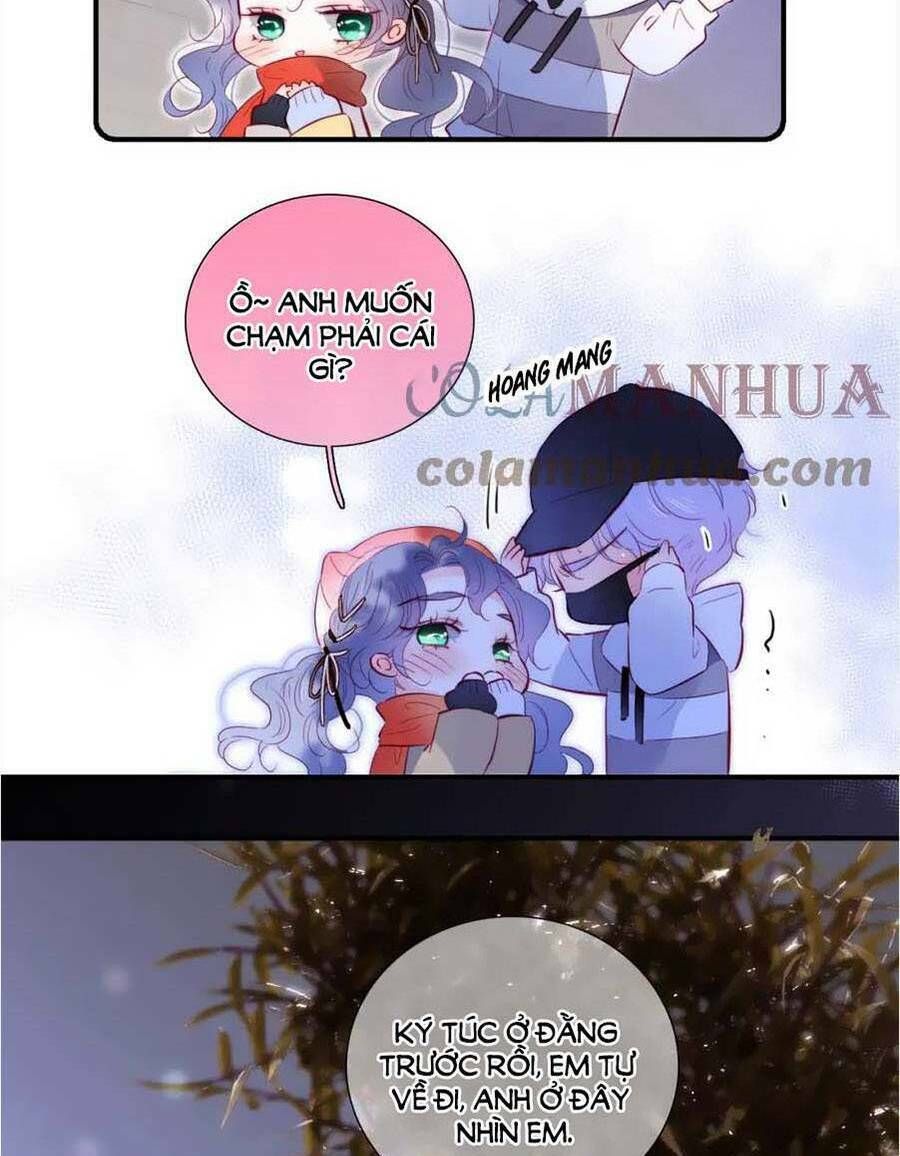 Hoa Bỏ Chạy Với Nhím Rồi Chapter 91 - 13