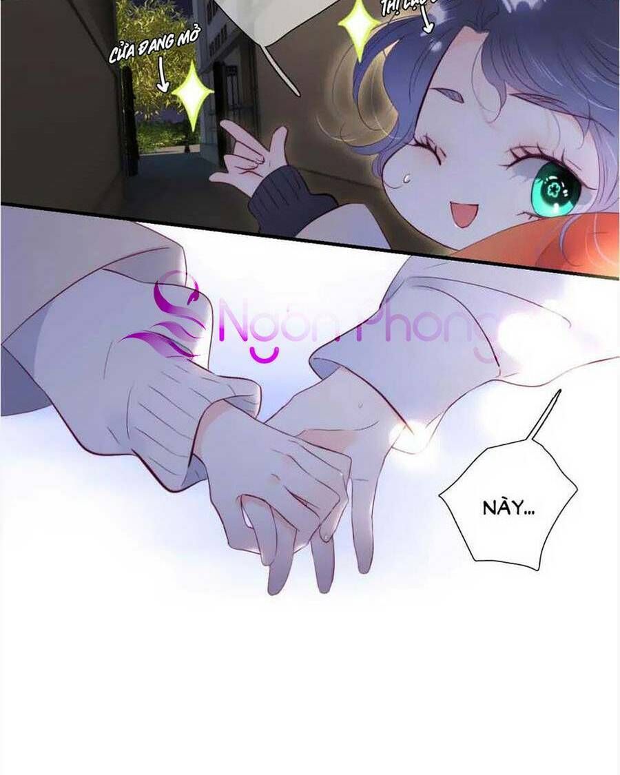 Hoa Bỏ Chạy Với Nhím Rồi Chapter 91 - 4