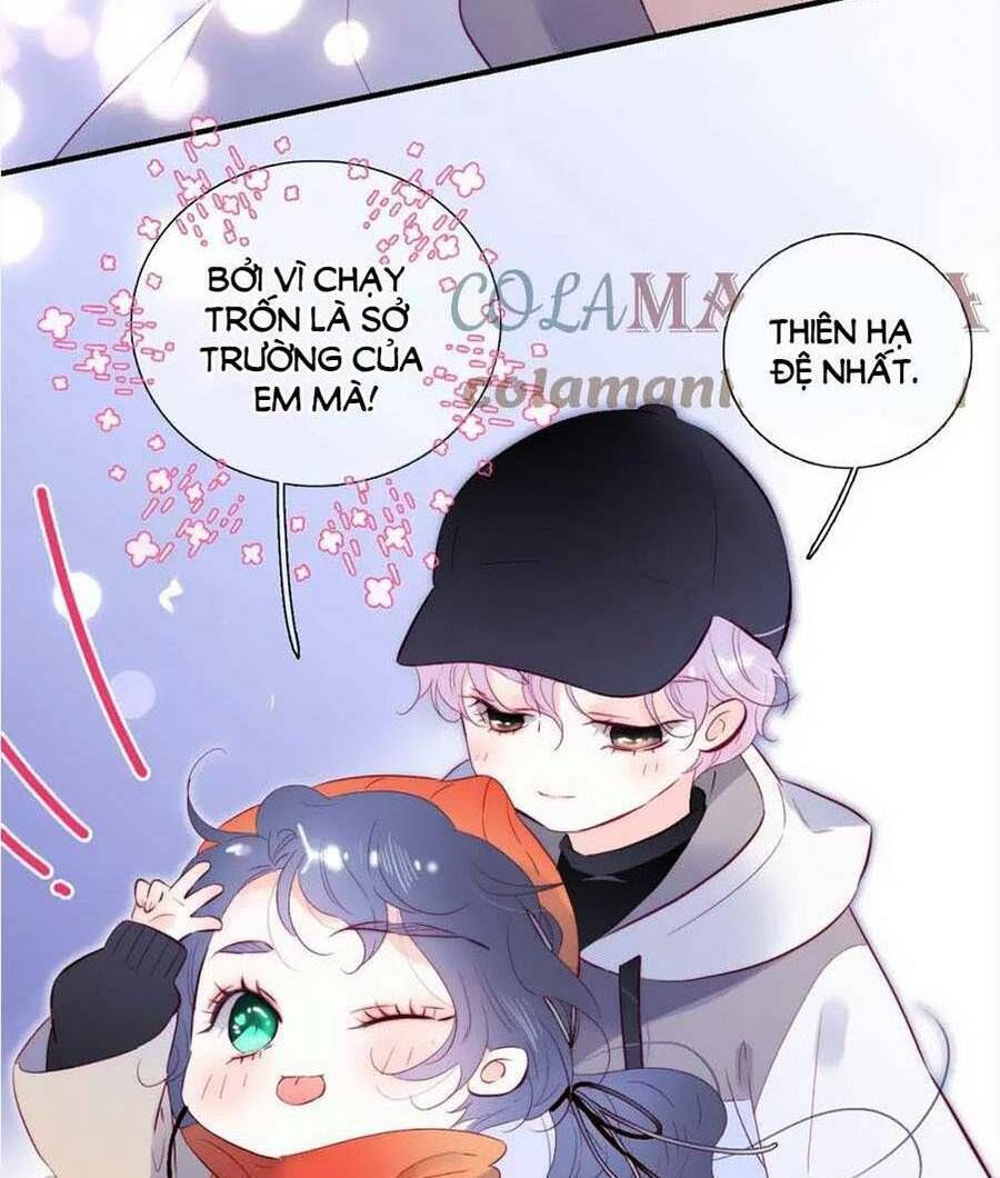 Hoa Bỏ Chạy Với Nhím Rồi Chapter 91 - 8