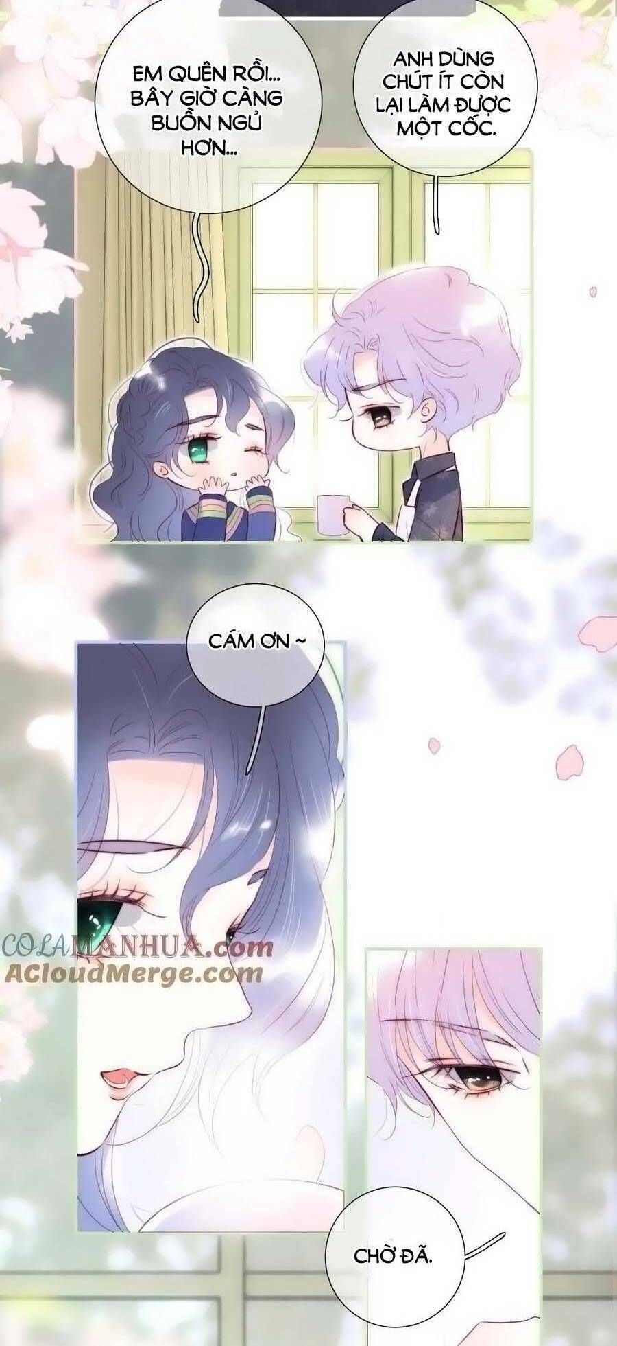 Hoa Bỏ Chạy Với Nhím Rồi Chapter 95.5 - 23