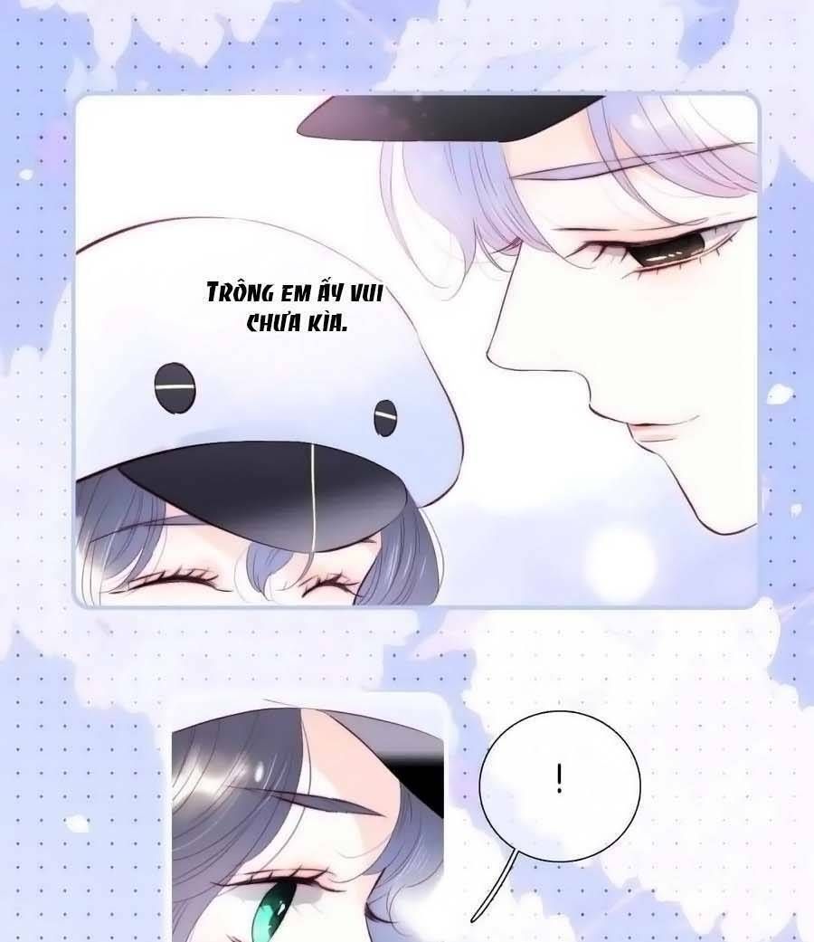 Hoa Bỏ Chạy Với Nhím Rồi Chapter 95 - 17