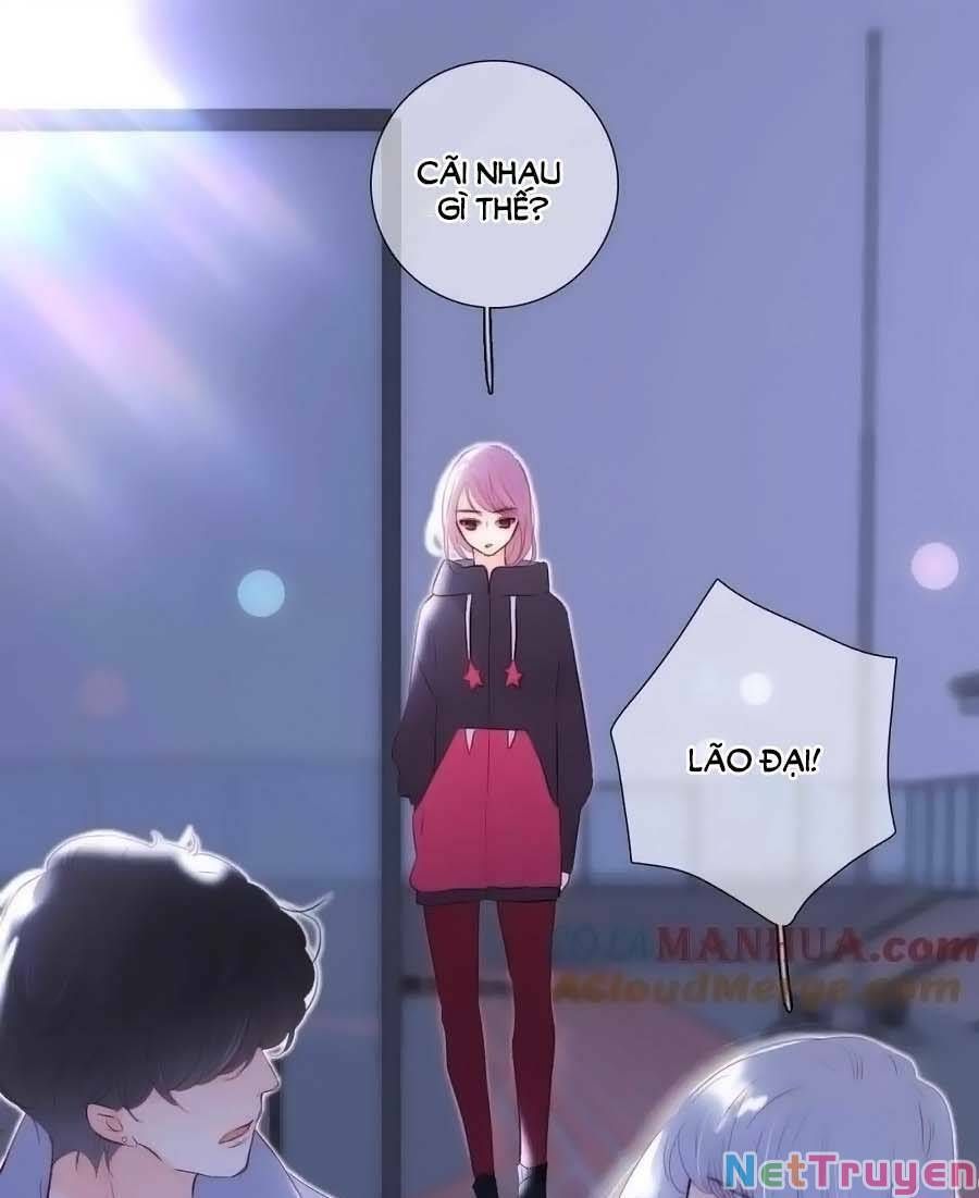 Hoa Bỏ Chạy Với Nhím Rồi Chapter 97 - 19