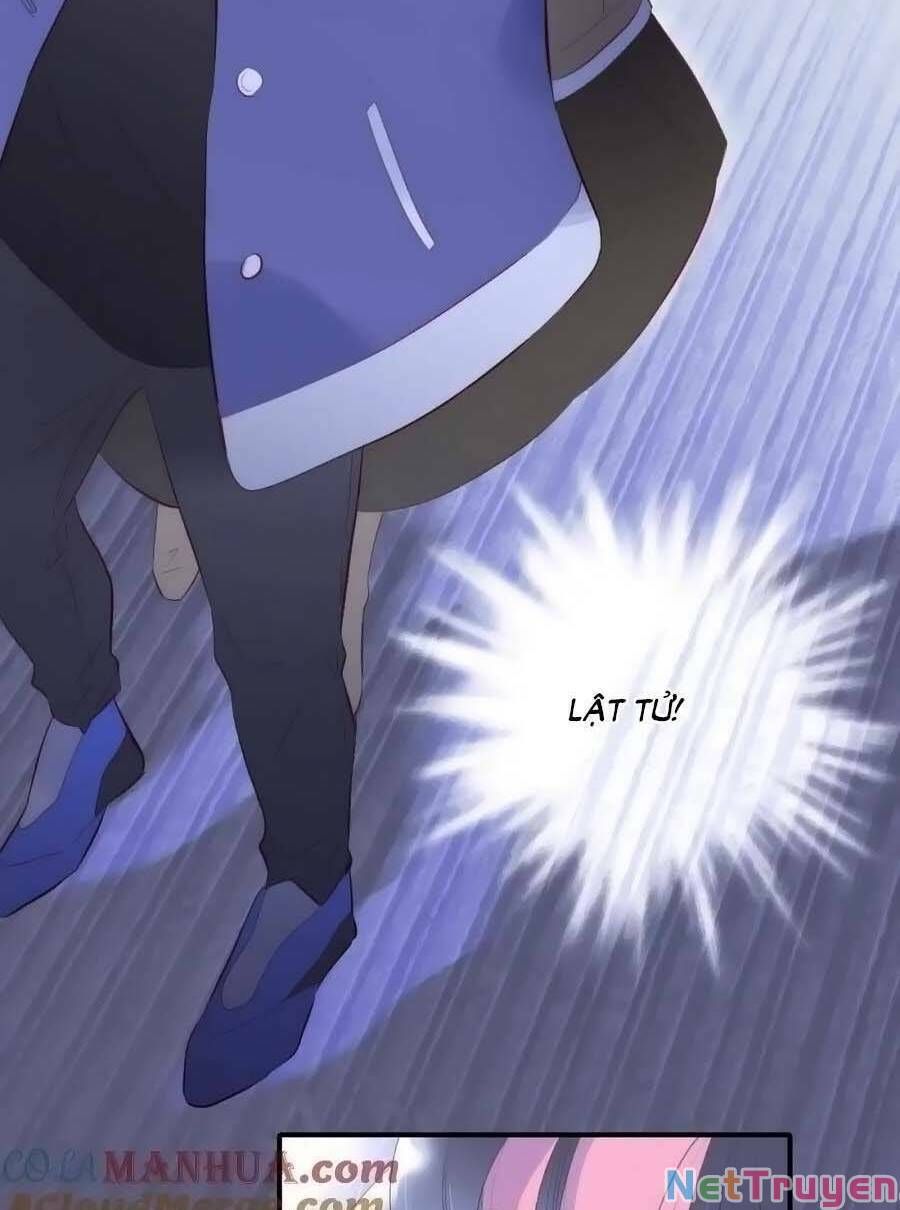 Hoa Bỏ Chạy Với Nhím Rồi Chapter 97 - 27