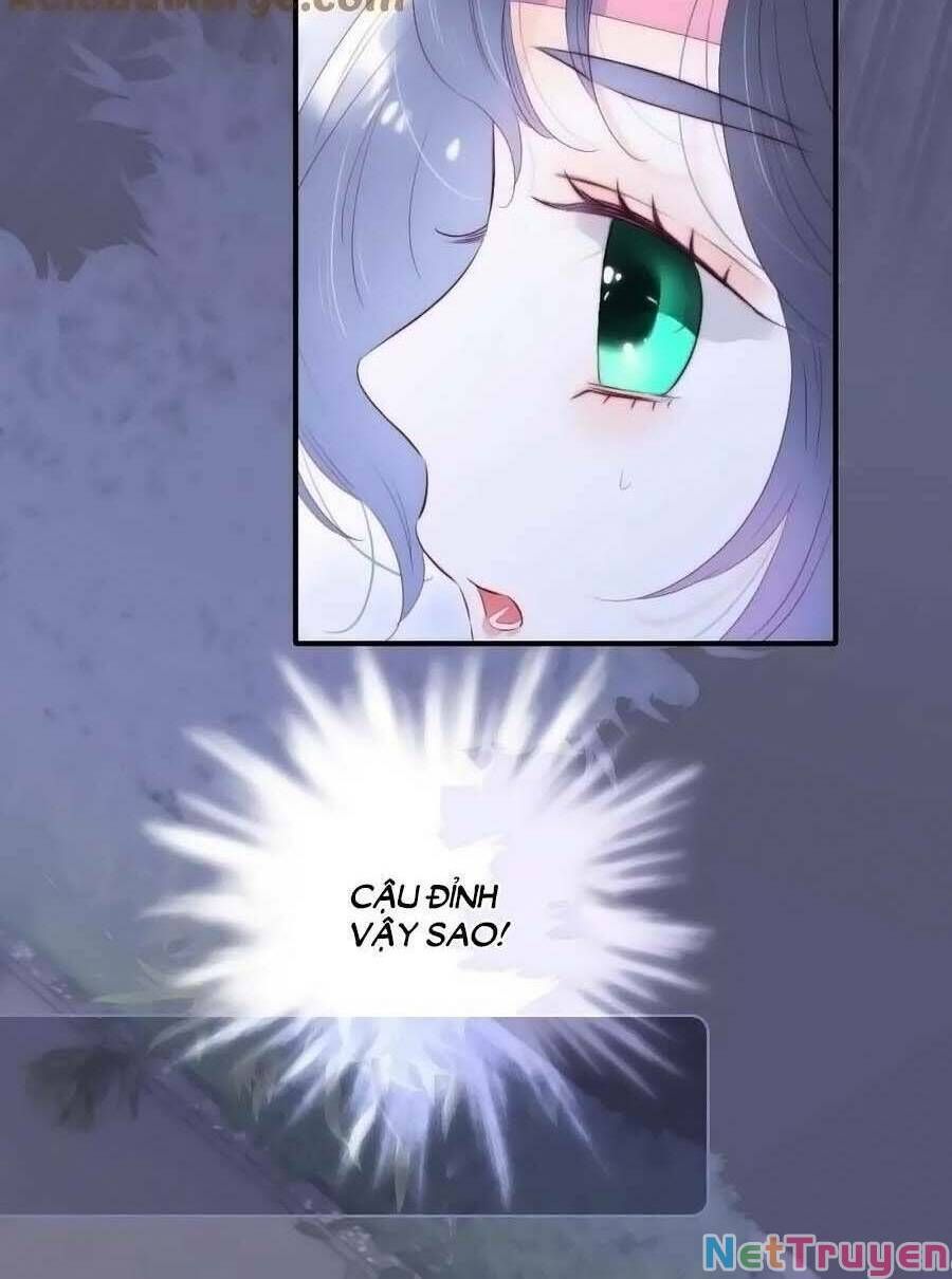 Hoa Bỏ Chạy Với Nhím Rồi Chapter 97 - 28