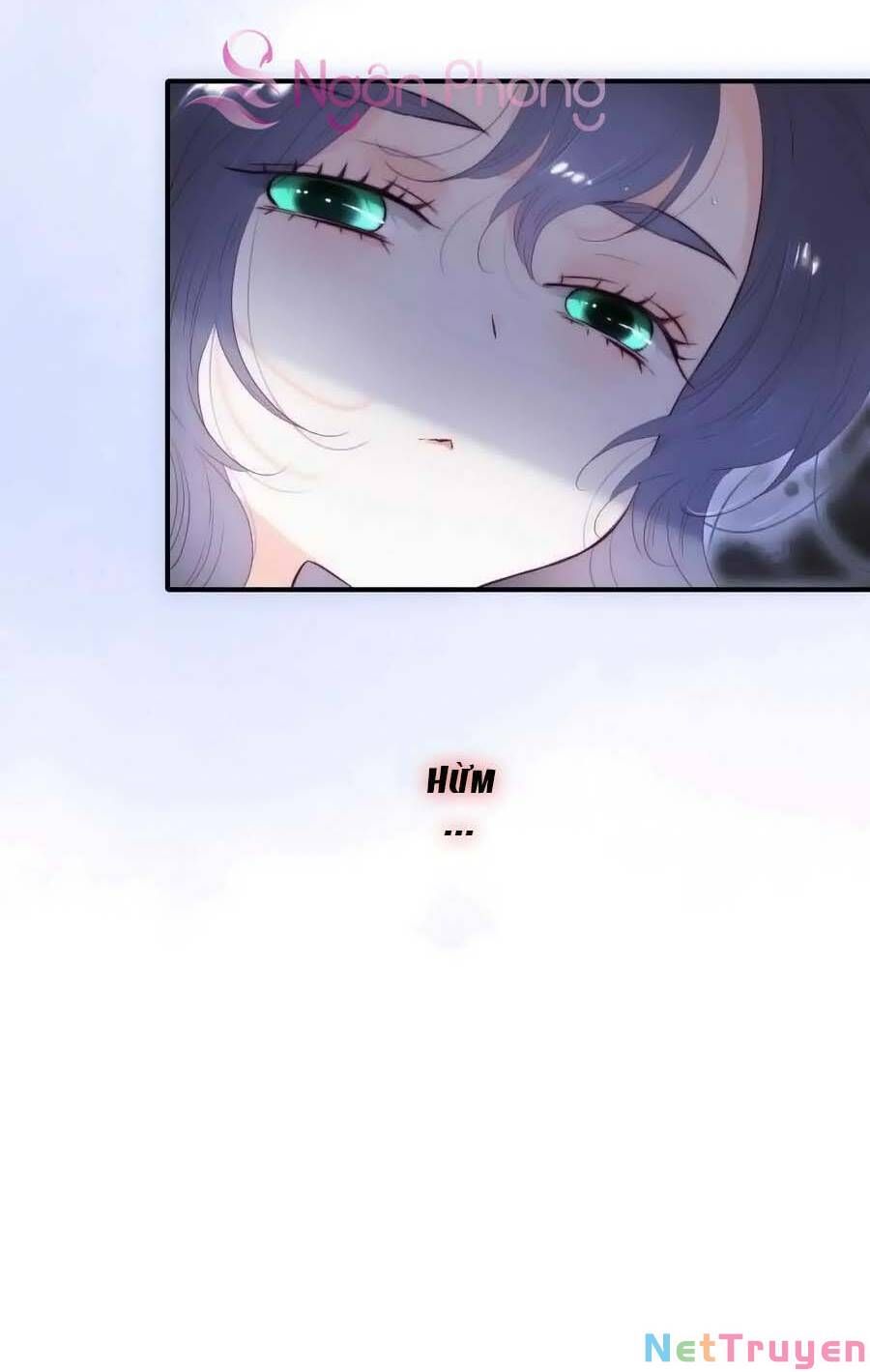 Hoa Bỏ Chạy Với Nhím Rồi Chapter 97 - 4