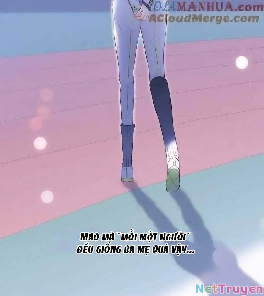 Hoa Bỏ Chạy Với Nhím Rồi Chapter 97 - 38