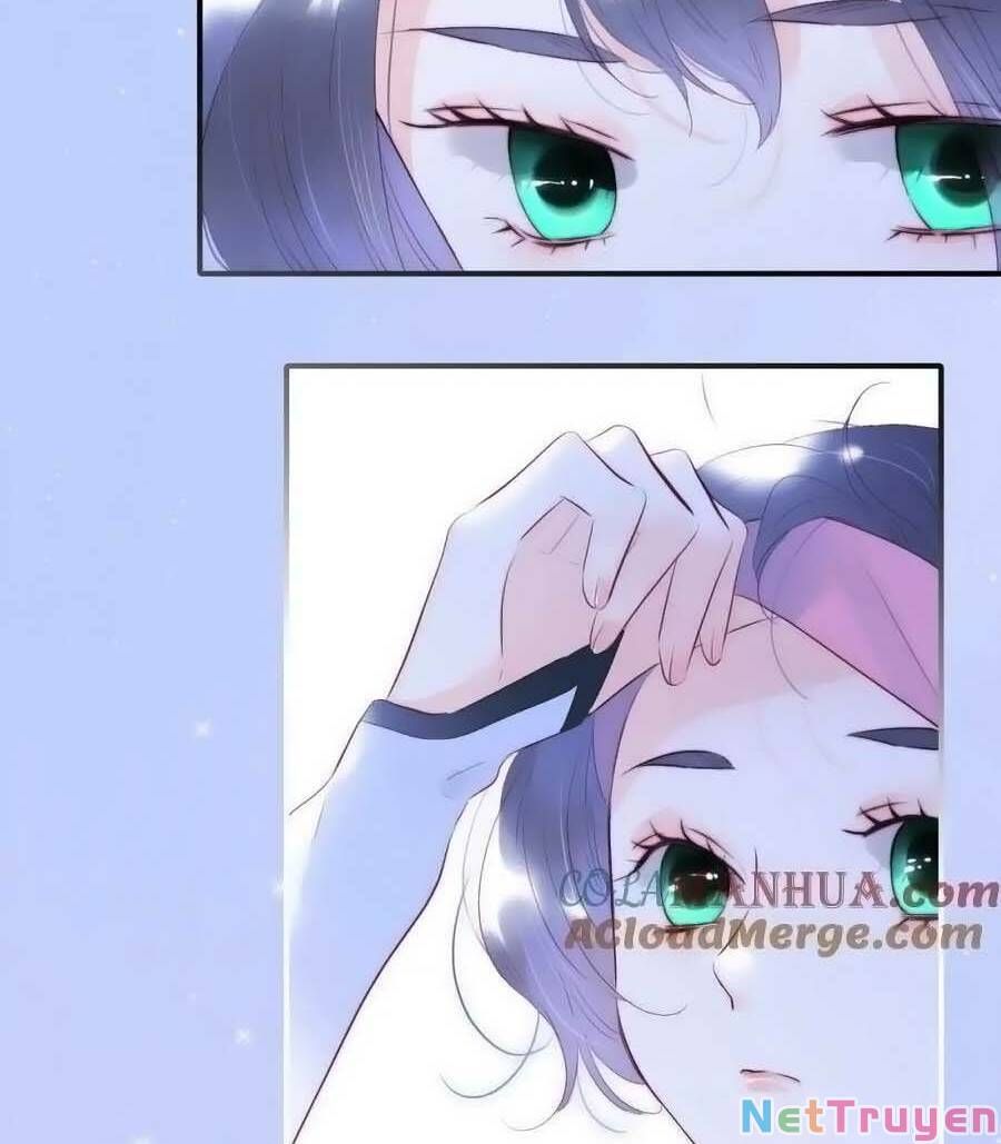 Hoa Bỏ Chạy Với Nhím Rồi Chapter 97 - 40