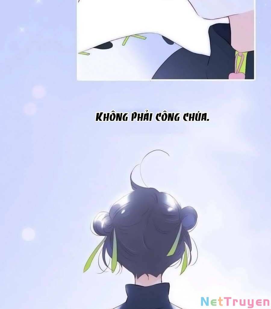 Hoa Bỏ Chạy Với Nhím Rồi Chapter 97 - 41