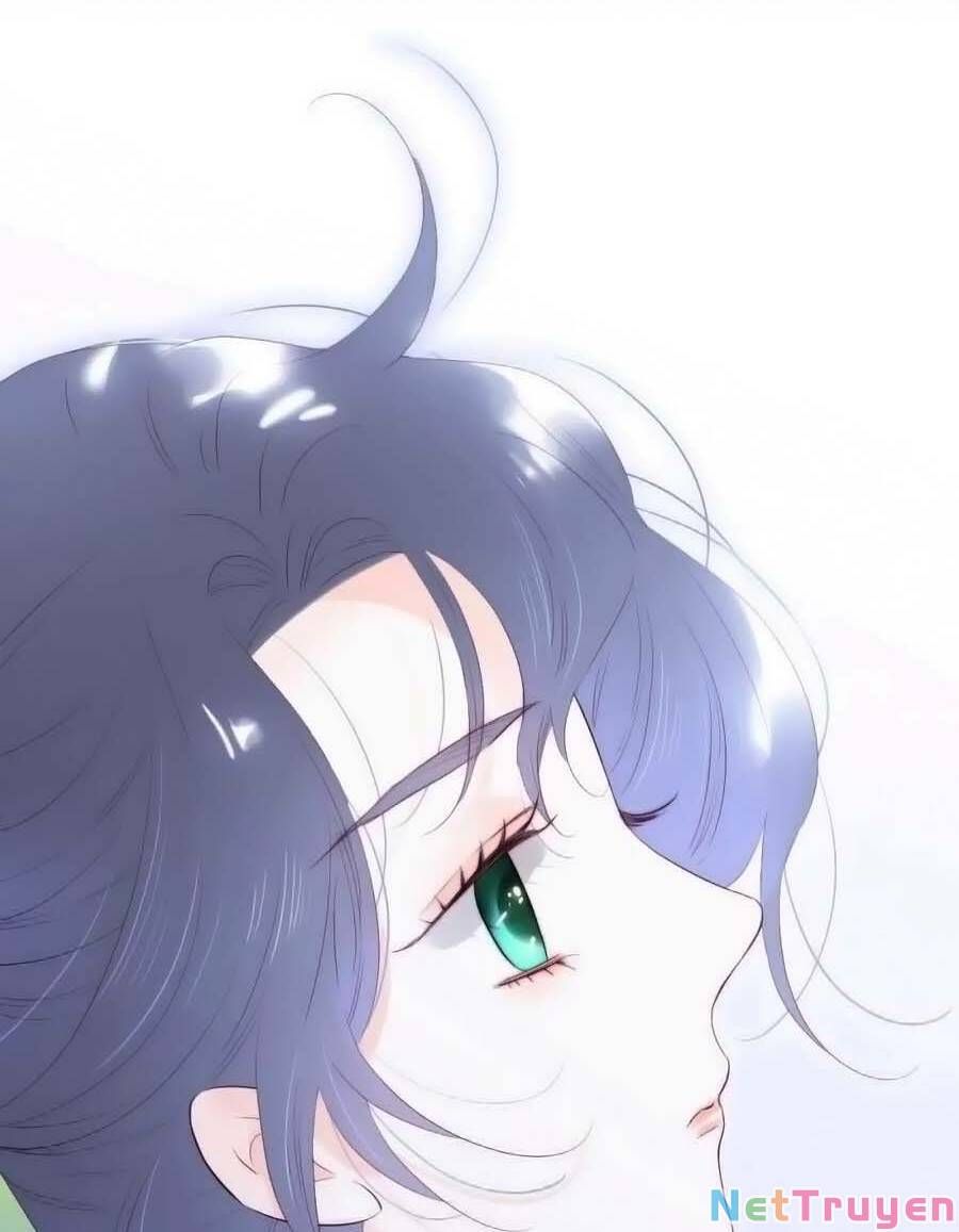 Hoa Bỏ Chạy Với Nhím Rồi Chapter 97 - 46