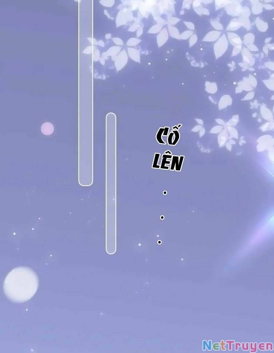 Hoa Bỏ Chạy Với Nhím Rồi Chapter 97 - 48