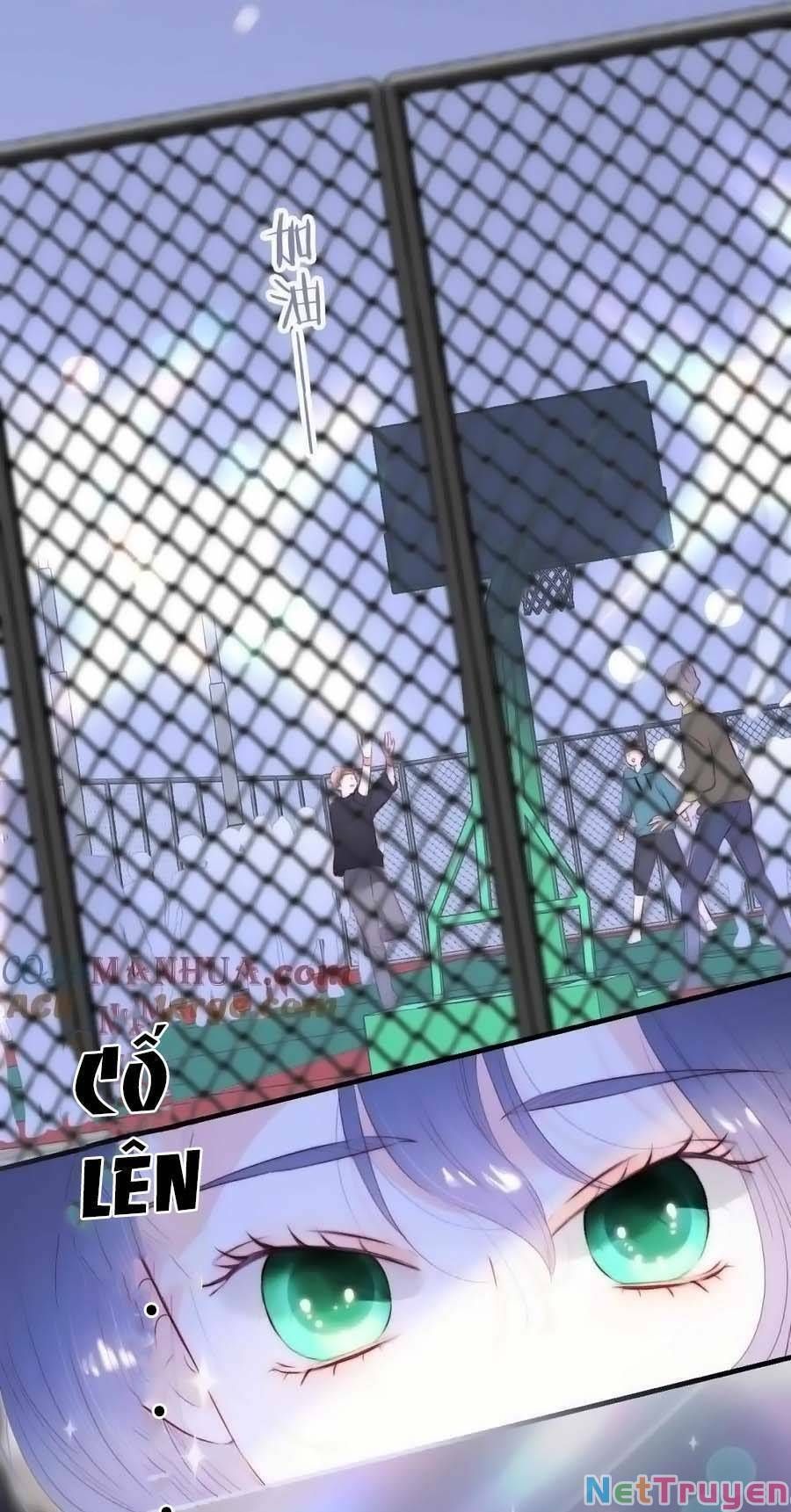 Hoa Bỏ Chạy Với Nhím Rồi Chapter 97 - 49