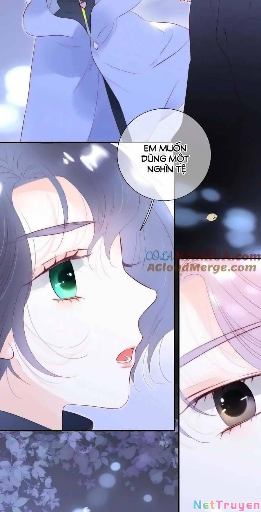 Hoa Bỏ Chạy Với Nhím Rồi Chapter 97 - 54