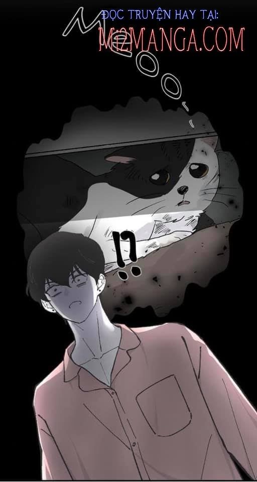 Ba Người Anh Trai Của Tôi Là Bạo Quân Chapter 11.5 - 6