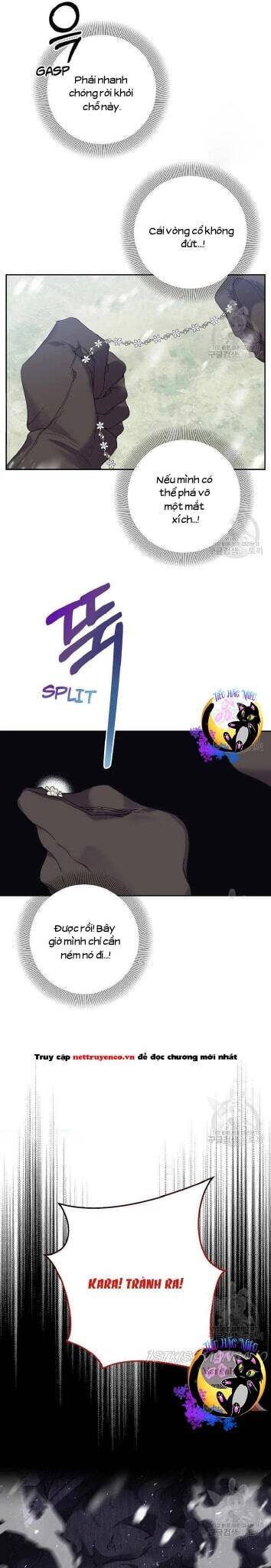 Đeo Bám Tôi Cũng Vô Ích Thôi Chapter  57 - 19