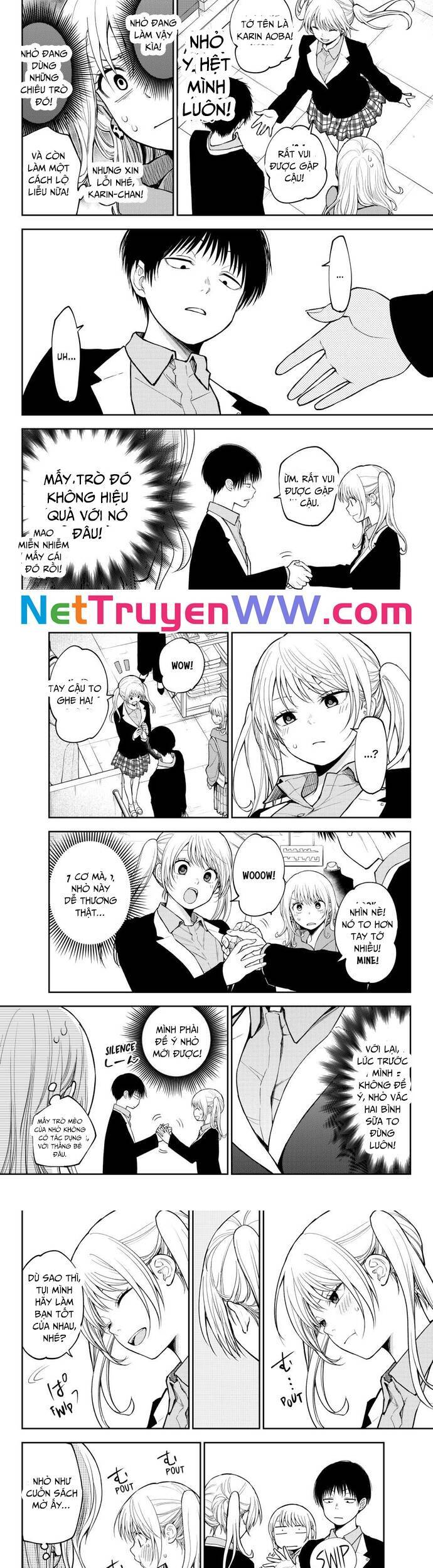 Kuroiwa Medaka Ni Watashi No Kawaii Ga Tsuujinai Chapter 145 - 3