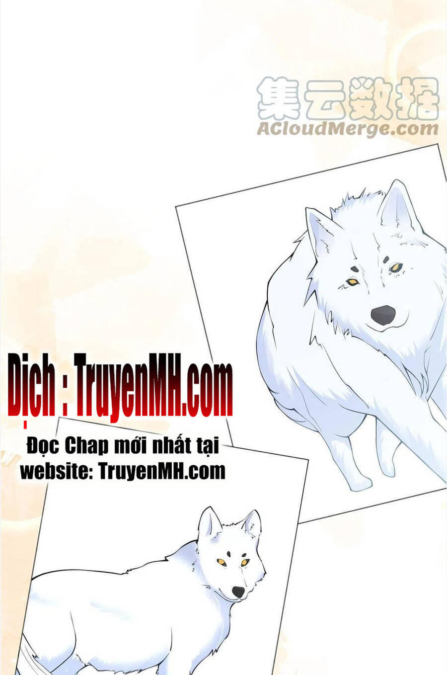 Ta Có Năm Đại Lão Ba Ba Chapter 306 - 3