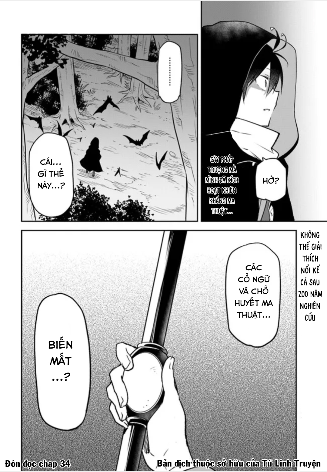 Ma Vương Tái Sinh Trở Thành Pháp Sư Mạnh Nhất Chapter 33 - 45