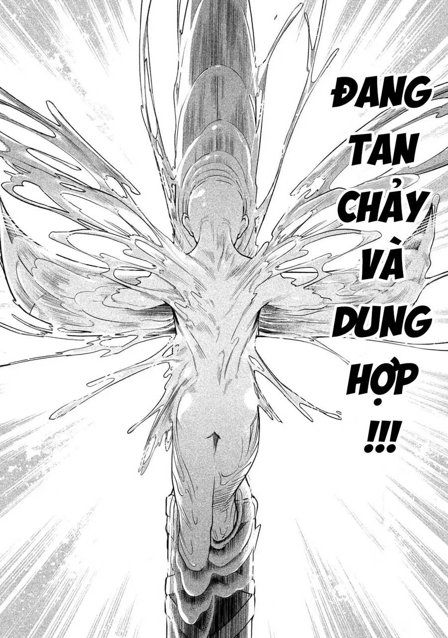 Tenkaichi - Thiên Hạ Đệ Nhất Võ Sĩ Đại Hội Chapter 45 - 11