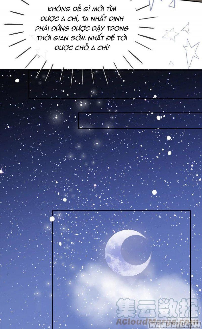 Cưng Chiều Đại Lão 3 Tuổi Rưỡi Chapter 139 - 13