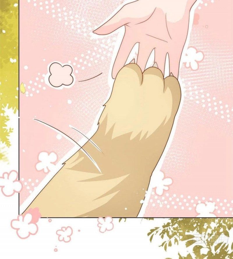 Cưng Chiều Đại Lão 3 Tuổi Rưỡi Chapter 76 - 3