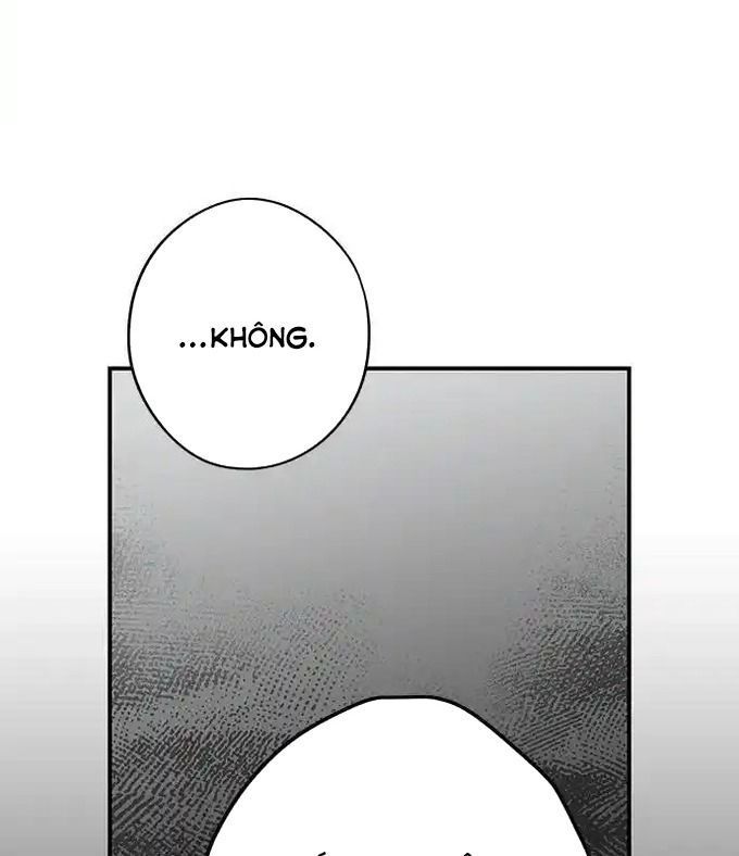 Bị Che Khuất Bởi Mặt Trời Lặn Chapter 215 - 17