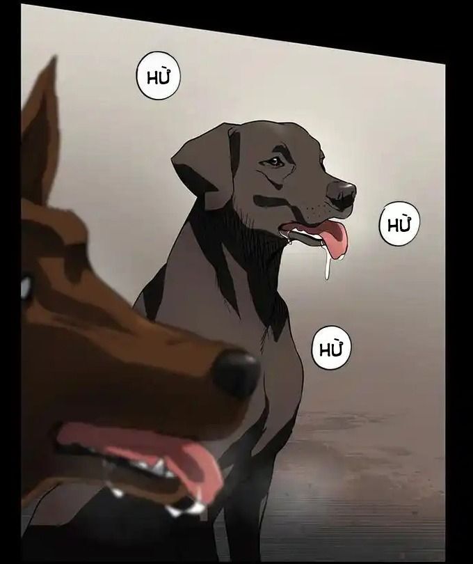 Bị Che Khuất Bởi Mặt Trời Lặn Chapter 215 - 31