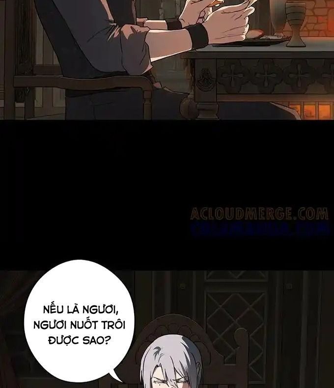 Bị Che Khuất Bởi Mặt Trời Lặn Chapter 216 - 28