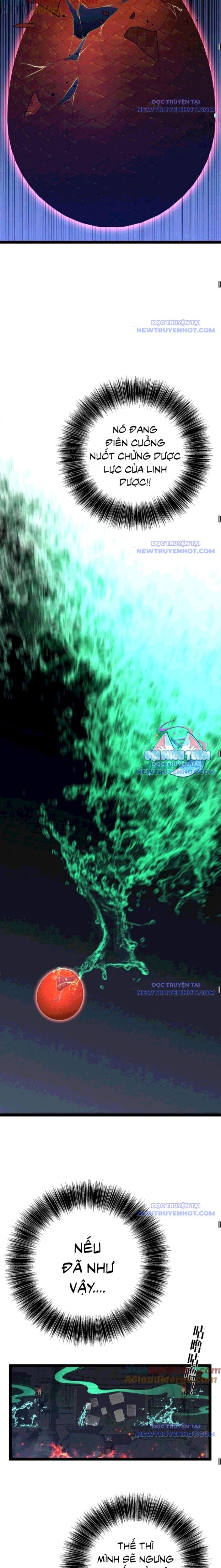 Thiên Phú Của Ngươi, Giờ Là Của Ta Chapter 98 - 11