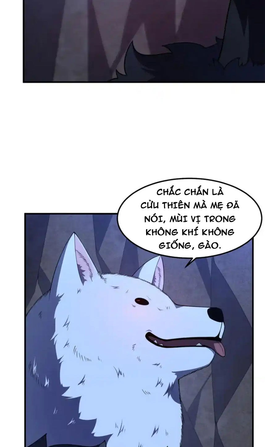 Thần Sủng Tiến Hóa Chapter 276 - 6