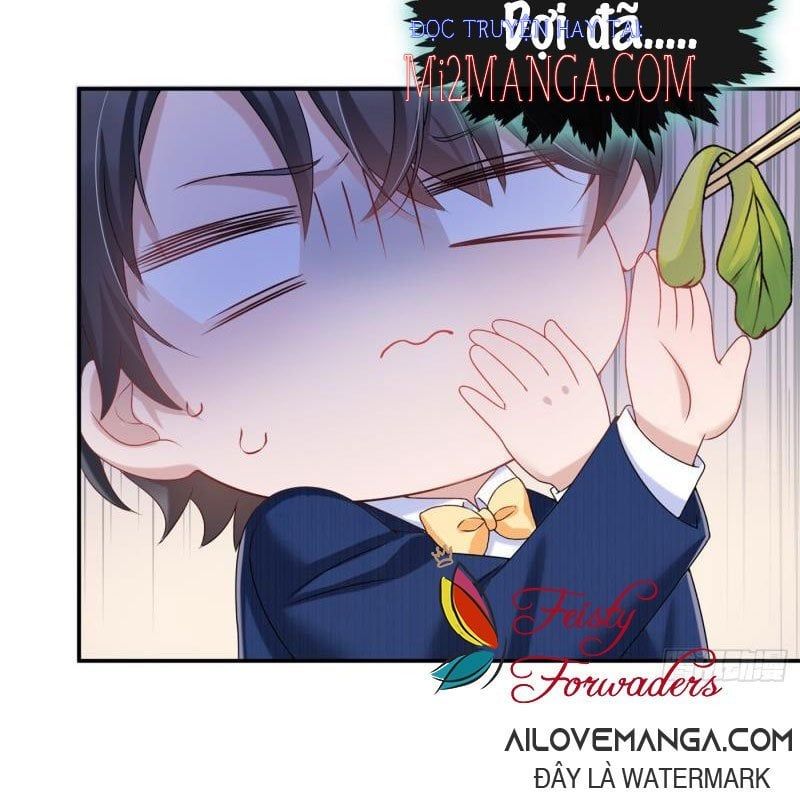 Manh Bảo Của Tôi Là Liêu Cơ Chapter 3.2 - 15