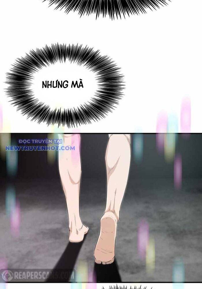 Đây Là Luật Chapter 108 - 15