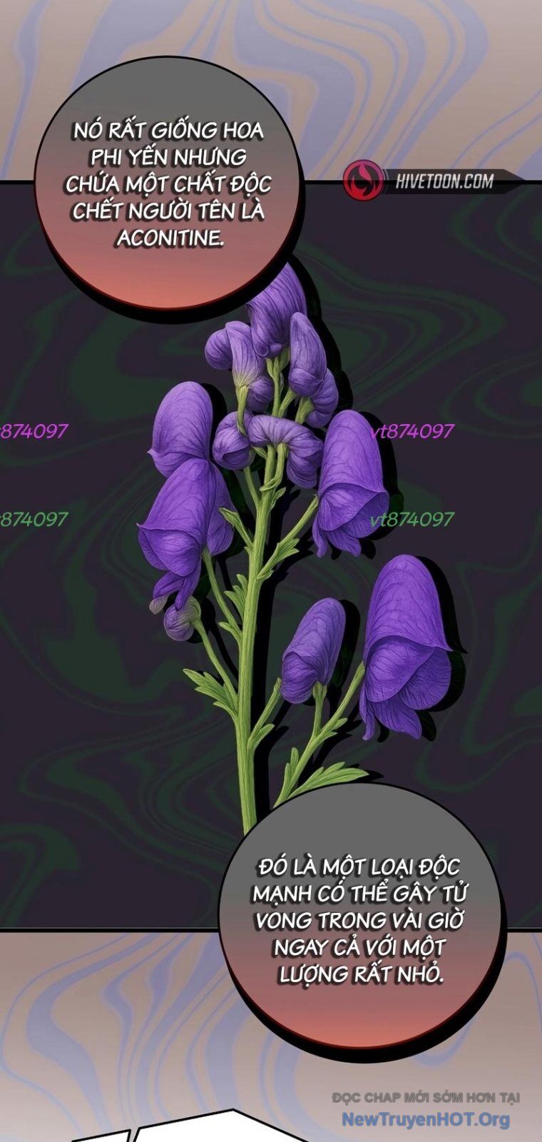 Đây Là Luật Chapter 159 - 43