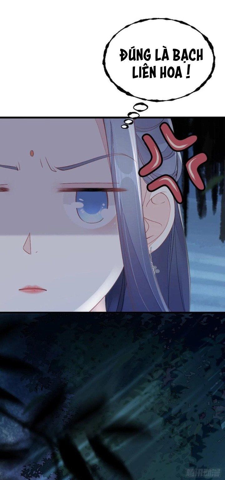 Mau Xuyên Không Rửa Tội Cho Nhân Vật Phản Diện Chapter 20.5 - 6